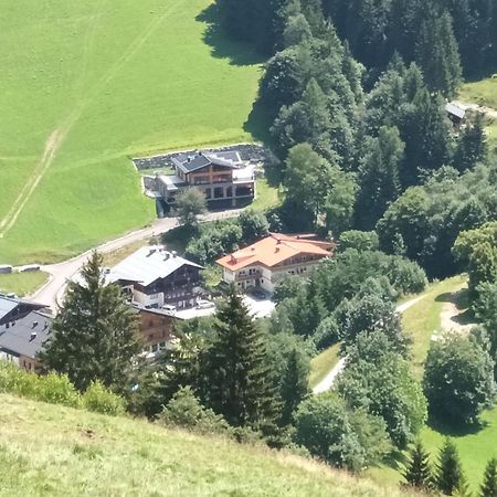 Haus Dienten Top 11 Dienten am Hochkönig Exterior foto